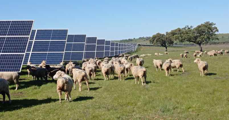 energia solar na agropecuária
